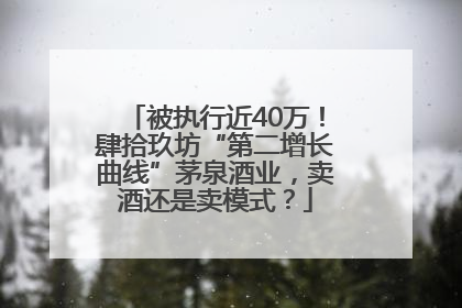 被执行近40万！肆拾玖坊“第二增长曲线”茅泉酒业，卖酒还是卖模式？