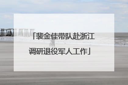 裴金佳带队赴浙江调研退役军人工作