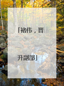 褚伟，晋升副部