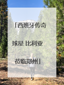 西班牙传奇球星 比利亚莅临郑州