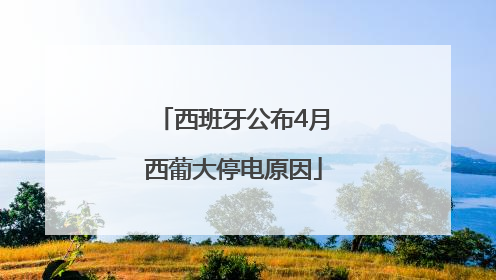 西班牙公布4月西葡大停电原因