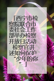 西宁市检察院联合市委社会工作部举办检察开放日活动 检察官讲述如何保护“少年的你”