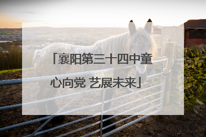 襄阳第三十四中童心向党 艺展未来
