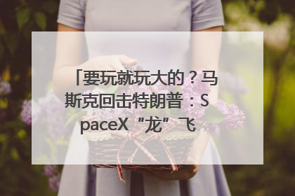 要玩就玩大的？马斯克回击特朗普：SpaceX“龙”飞船将立即退役！