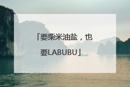要柴米油盐，也要LABUBU
