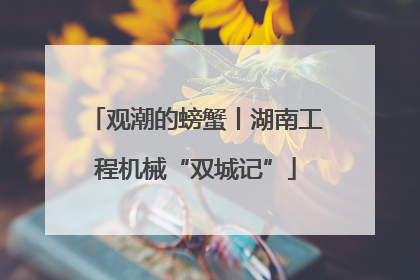 观潮的螃蟹丨湖南工程机械“双城记”