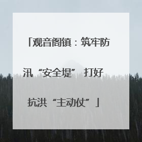 观音阁镇：筑牢防汛“安全堤” 打好抗洪“主动仗”