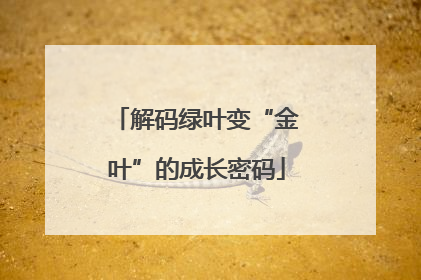 解码绿叶变“金叶”的成长密码