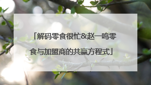 解码零食很忙&赵一鸣零食与加盟商的共赢方程式