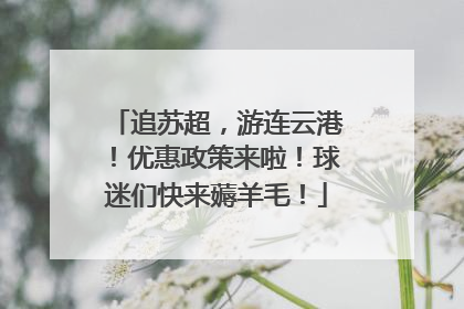 追苏超，游连云港！优惠政策来啦！球迷们快来薅羊毛！