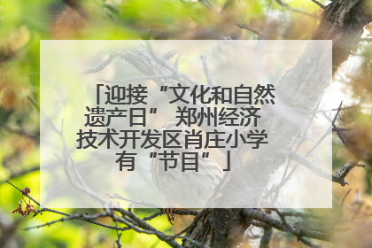迎接“文化和自然遗产日” 郑州经济技术开发区肖庄小学有“节目”