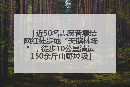 近50名志愿者集结网红徒步地“天鹅林场”，徒步10公里清运150余斤山野垃圾