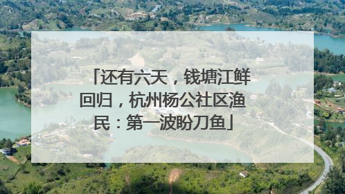 还有六天，钱塘江鲜回归，杭州杨公社区渔民：第一波盼刀鱼