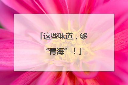 这些味道，够“青海”！