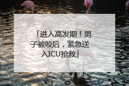 进入高发期！男子被咬后，紧急送入ICU抢救