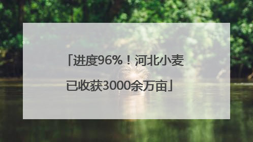 进度96%！河北小麦已收获3000余万亩