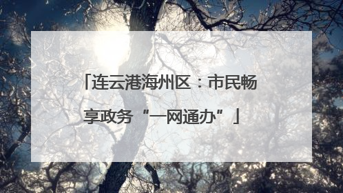 连云港海州区：市民畅享政务“一网通办”