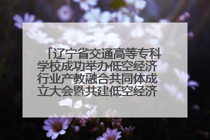 辽宁省交通高等专科学校成功举办低空经济行业产教融合共同体成立大会暨共建低空经济产教融合新生态论坛