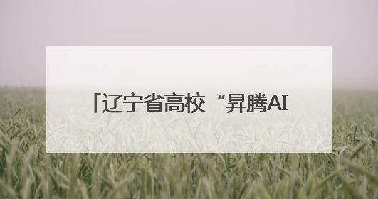 辽宁省高校“昇腾AI+DeepSeek：重构高校教育科技生态”研讨会在沈阳成功举办