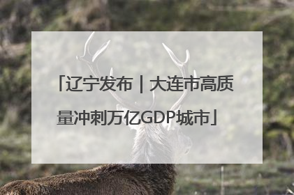 辽宁发布｜大连市高质量冲刺万亿GDP城市