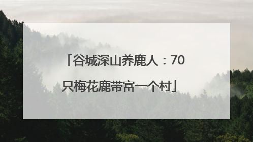 谷城深山养鹿人：70只梅花鹿带富一个村
