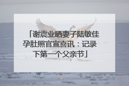 谢震业晒妻子陆敏佳孕肚照官宣喜讯：记录下第一个父亲节