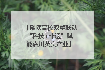 豫陕高校双擎联动 “科技+非遗”赋能潢川芡实产业