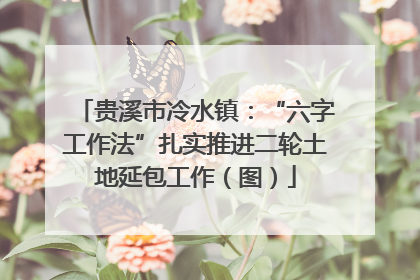 贵溪市冷水镇：“六字工作法”扎实推进二轮土地延包工作（图）