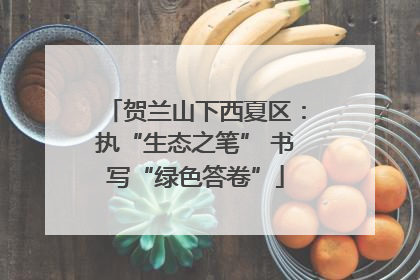 贺兰山下西夏区：执“生态之笔” 书写“绿色答卷”