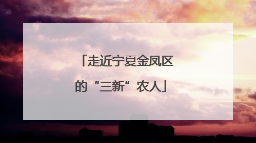 走近宁夏金凤区的“三新”农人
