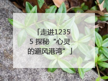 走进12355 探秘“心灵的避风港湾”