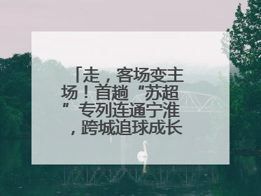 走，客场变主场！首趟“苏超”专列连通宁淮，跨城追球成长三角人新日常