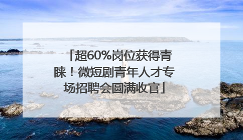 超60%岗位获得青睐！微短剧青年人才专场招聘会圆满收官