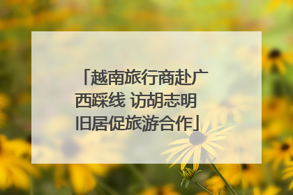 越南旅行商赴广西踩线 访胡志明旧居促旅游合作