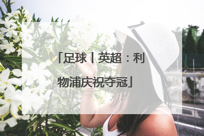 足球丨英超：利物浦庆祝夺冠