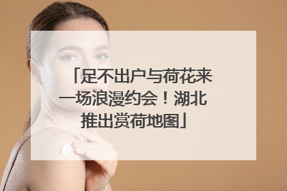 足不出户与荷花来一场浪漫约会！湖北推出赏荷地图