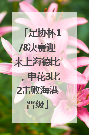 足协杯1/8决赛迎来上海德比，申花3比2击败海港晋级
