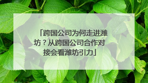 跨国公司为何走进潍坊？从跨国公司合作对接会看潍坊引力