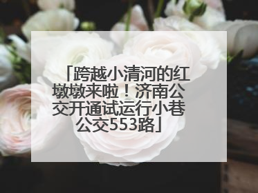 跨越小清河的红墩墩来啦！济南公交开通试运行小巷公交553路
