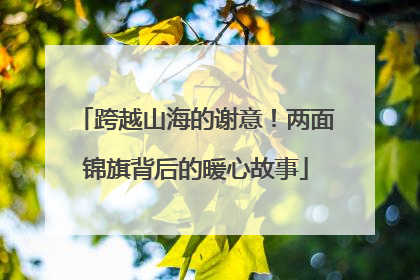 跨越山海的谢意！两面锦旗背后的暖心故事