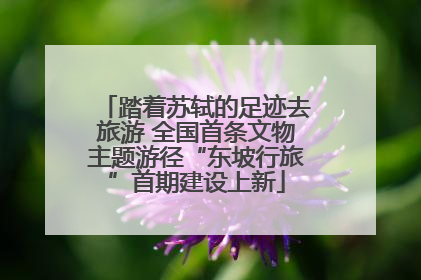 踏着苏轼的足迹去旅游 全国首条文物主题游径“东坡行旅”首期建设上新