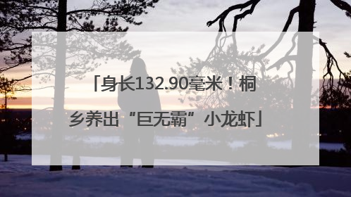 身长132.90毫米！桐乡养出“巨无霸”小龙虾