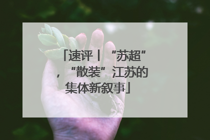 速评丨“苏超”，“散装”江苏的集体新叙事