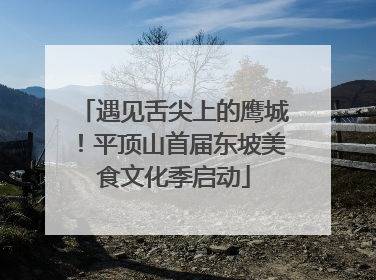 遇见舌尖上的鹰城！平顶山首届东坡美食文化季启动