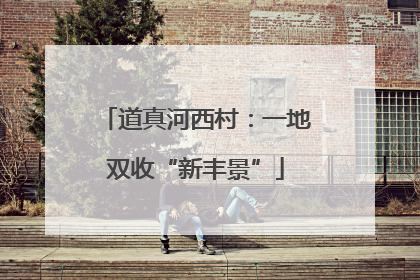 道真河西村：一地双收“新丰景”