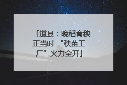 道县：晚稻育秧正当时 “秧苗工厂”火力全开