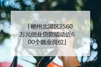 郴州北湖区2560万元创业贷款撬动近600个就业岗位