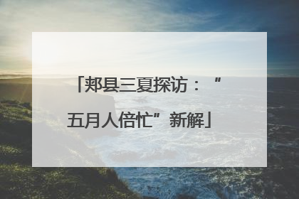 郏县三夏探访：“五月人倍忙”新解