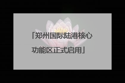 郑州国际陆港核心功能区正式启用