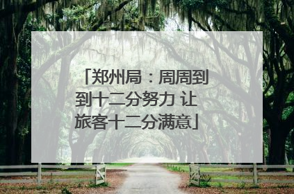 郑州局：周周到到十二分努力 让旅客十二分满意